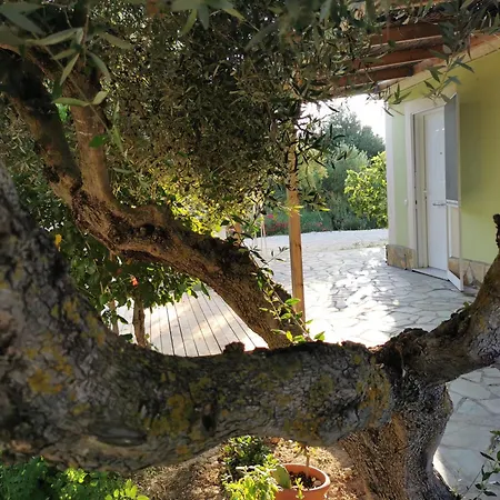 Kefalonia Olive House Private Pool